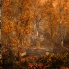 The Elder Scrolls V: Skyrim Special Edition Upgrade DLC PC Steam CD Key