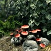 The Elder Scrolls V: Skyrim Special Edition Upgrade DLC PC Steam CD Key