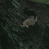 Ultimate Fishing Simulator - Aquarium DLC PC Steam CD Key