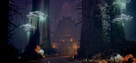 Avowed Xbox Series X|S / PC CD Key Avowed Xbox Series X|S / PC CD Key