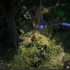 Path of Exile 2 - Early Access Supporter Pack CO XBOX One / Xbox Series X|S CD Key