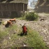 The Quinfall PC Steam CD Key The Quinfall PC Steam CD Key