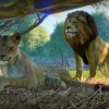 Planet Zoo Ultimate Edition 2025 PC Steam CD Key Planet Zoo Ultimate Edition 2025 PC Steam CD Key