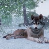 Planet Zoo Ultimate Edition 2025 PC Steam CD Key Planet Zoo Ultimate Edition 2025 PC Steam CD Key