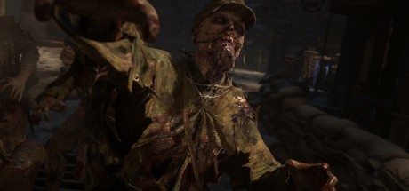 Call of Duty: WWII EU PC Windows 10 CD Key Call of Duty: WWII EU PC Windows 10 CD Key