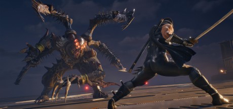 NINJA GAIDEN 2 Black EU PC Steam CD Key NINJA GAIDEN 2 Black EU PC Steam CD Key
