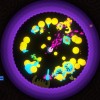 Genome Guardian EU Nintendo Switch CD Key