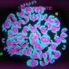 Genome Guardian EU Nintendo Switch CD Key