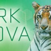 Ark Nova PC Steam CD Key