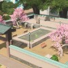 Cities: Skylines - After Dark DLC RU/CIS PC Steam CD Key