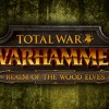 Total War: Warhammer - Realm of The Wood Elves DLC Steam CD Key Total War: Warhammer - Realm of The Wood Elves DLC Steam CD Key