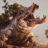 South of Midnight EU Xbox Series X|S / PC CD Key