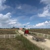 American Truck Simulator - Montana DLC EU PC Steam CD Key