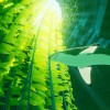 ABZU RU/CIS PC Steam CD Key
