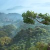Assassin’s Creed Shadows + Pre-Order Bonus Xbox Series X|S CD Key Assassin’s Creed Shadows + Pre-Order Bonus Xbox Series X|S CD Key
