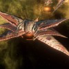 Stellaris - Season 09 DLC RoW PC Steam CD Key