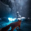 Spirit of the North EU Nintendo Switch CD Key
