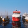Fishing: Barents Sea - Line and Net Ships DLC EU PC Steam CD Key Fishing: Barents Sea - Line and Net Ships DLC EU PC Steam CD Key