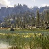 Call of the Wild: The Angler US XBOX One / Xbox Series X|S / PC CD Key