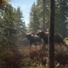 theHunter: Call of the Wild PC Steam CD Key