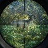 theHunter: Call of the Wild PC Steam CD Key