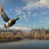 theHunter: Call of the Wild PC Steam CD Key