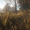 theHunter: Call of the Wild PC Steam CD Key