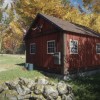 theHunter: Call of the Wild PC Steam CD Key