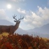 theHunter: Call of the Wild PC Steam CD Key