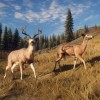theHunter: Call of the Wild PC Steam CD Key