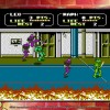 Teenage Mutant Ninja Turtles: The Cowabunga Collection EU Nintendo Switch CD Key