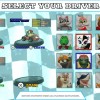 Animal Kart Racer EU Nintendo Switch CD Key