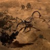 Warhammer 40,000: Gladius - Relics of War PC GOG CD Key