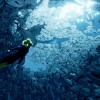ABZU EU PC Steam CD Key