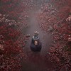 SILENT HILL f PRE-ORDER EU PC Steam CD Key