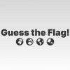 Guess the Flag! EU Nintendo Switch / Switch 2 CD Key