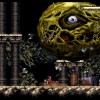 Chronicles of The Wolf EU Nintendo Switch CD Key