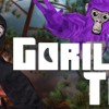 Gorilla Tag - Splash & Dash Pack DLC Meta Quest Gift