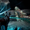 Spirit of the North: Enhanced Edition EU Xbox Series X|S / PC CD Key