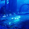 Spirit of the North: Enhanced Edition EU Xbox Series X|S / PC CD Key