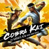 Cobra Kai: The Karate Kid Saga Continues EU Nintendo Switch CD Key