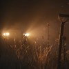 Mafia: The Old Country + Pre-Order Bonus DLC Xbox Series X|S CD Key
