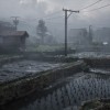 SILENT HILL f PRE-ORDER NA/LATAM PC Steam CD Key SILENT HILL f PRE-ORDER NA/LATAM PC Steam CD Key