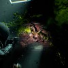 Cronos: The New Dawn PRE-ORDER EU Xbox Series X|S / PC CD Key