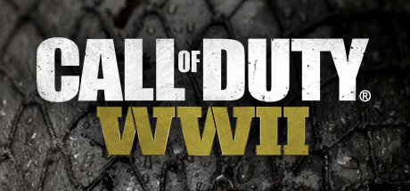 Call of Duty: WWII RoW Steam CD Key