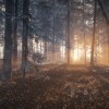 theHunter: Call of the Wild - Medved-Taiga DLC PC Steam CD Key