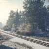 theHunter: Call of the Wild - Medved-Taiga DLC PC Steam CD Key