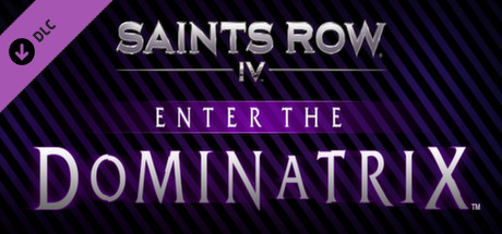 Saints Row IV - Enter the Dominatrix DLC Steam CD Key