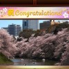 Beautiful Japanese Scenery - Animated Jigsaws EU Nintendo Switch CD Key