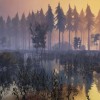 Mafia III US XBOX One CD Key